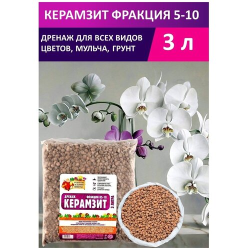 ���� ������ �������� 