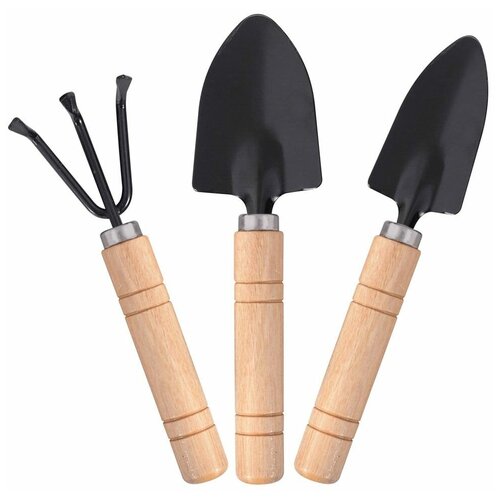 ���� ����� ������������ ��� ��������� �������� 