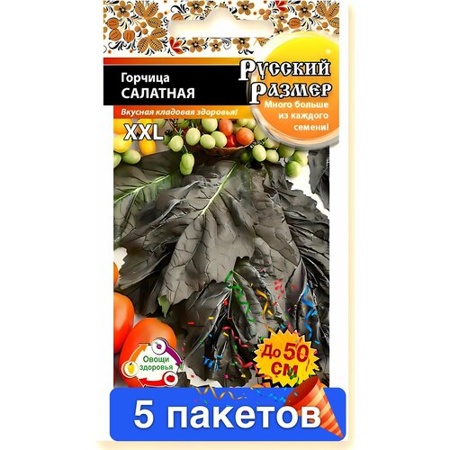 ���� ������ ������ ������� ������ 