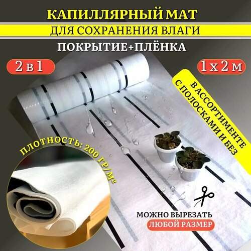 ���� ����������� ��� VIVAPOL � �������� ��������� Aquafol 2 �. �. ����������� ����������, ������ �� 953 ���