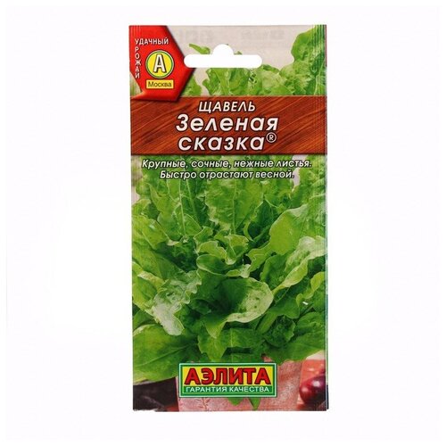 ���� ������ ������ 