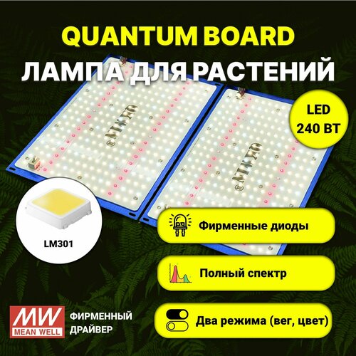    / quantum board c  LM-301,  240 , Mean Well, 5000,     -     , -, 