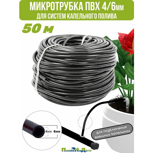 ���� ������(�����) ��� 4/6�� ��� ������ ���������� ������ (����� 50 �), ������ �� 1695 ���