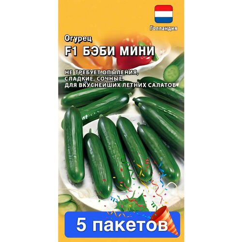 ���� ������ ������ ������ 