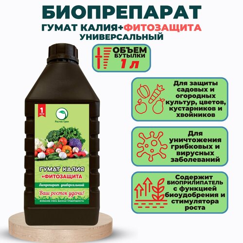     + .   1.  ,      ,       .,   885 