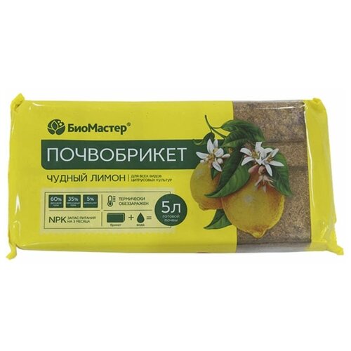 ���� ����������� ��������� 