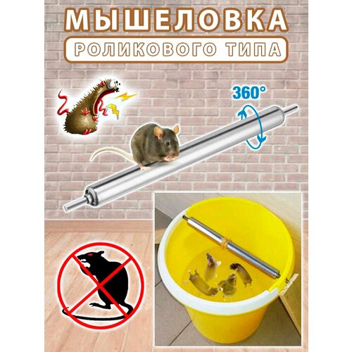 ���� ��������� ���������� ����, ��������� �� �����, ������ �� 990 ���