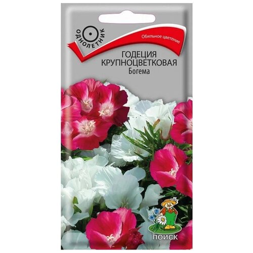 ���� ������ ������� ��������������� ����� ������ 0,2 �, ������ �� 43 ���