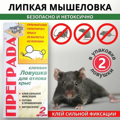 ���� ������� ������� �������� ��� ������ ���� 2 ��, ������ �� 350 ���