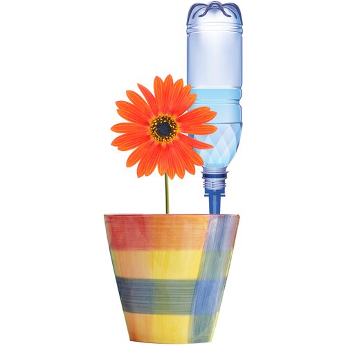 ���� ��������� Protex 