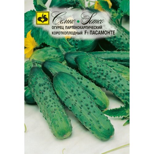 ���� ������ ������ ��������� F1 10�� ������������������ ������ (�����), ������ �� 145 ���