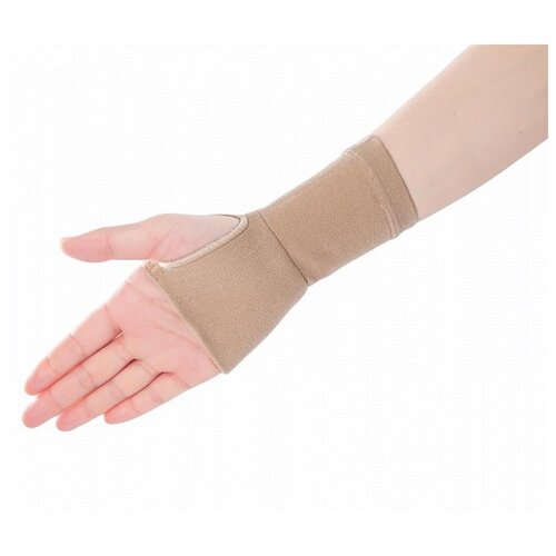  ALMED     Compression 2,  L,    -     , -, 