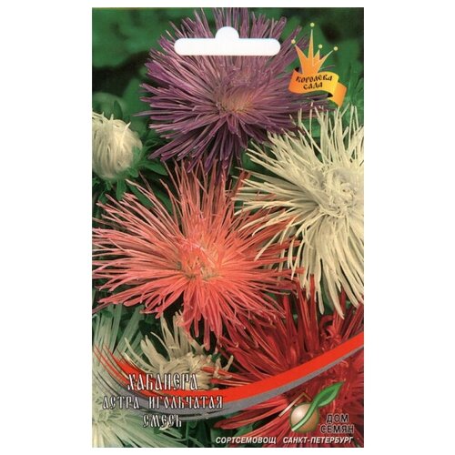 ���� ����� ���������� ��������, 100 �����, ������ �� 238 ���