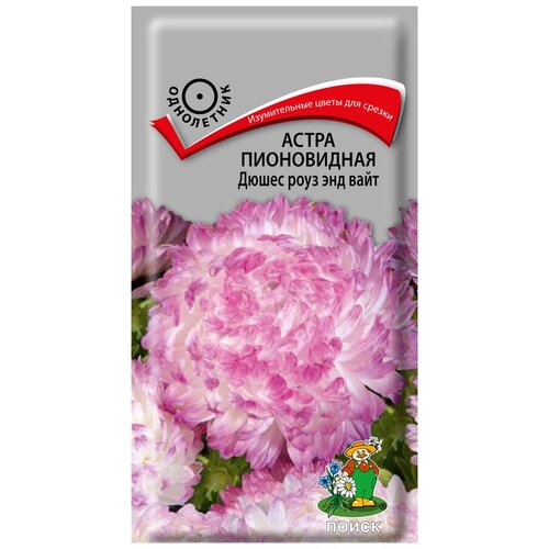 ���� ����� ����������� ����� ���� ��� ����, ������ �� 65 ���