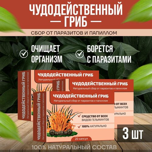 ���� ��������������� ���� ���� �� ��������� � �������� 3 ��������, ������ �� 1350 ���