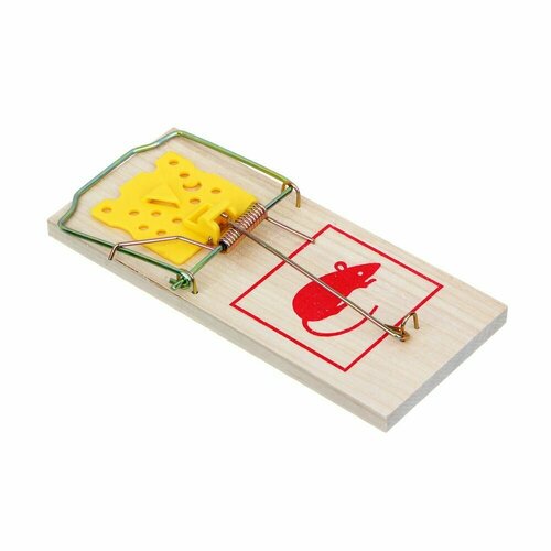 ���� INBLOOM ��������� 179�79��, ������, ������, ������ �� 221 ���