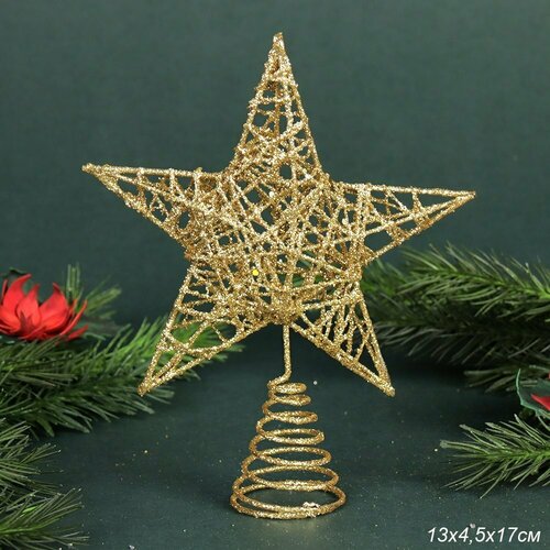 ���� �������� �� ���� ������ 17 �� / �������, ������ �� 339 ���