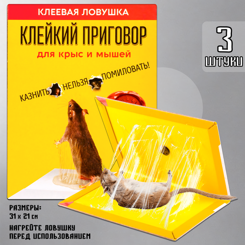    ,    ,  ,  ,  , , 3 ,   524 