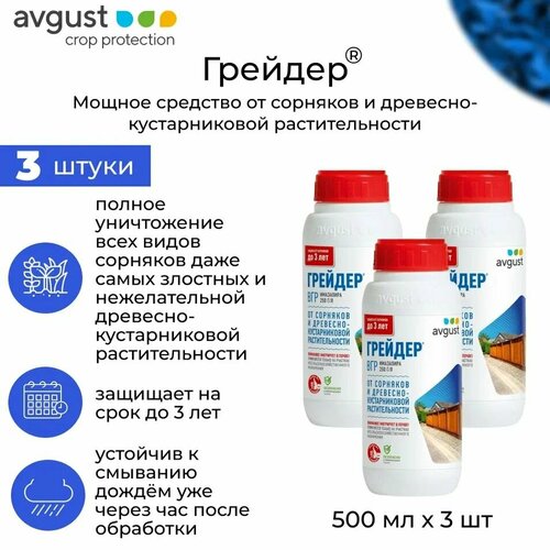 ���� �������� �� �������� Avgust 