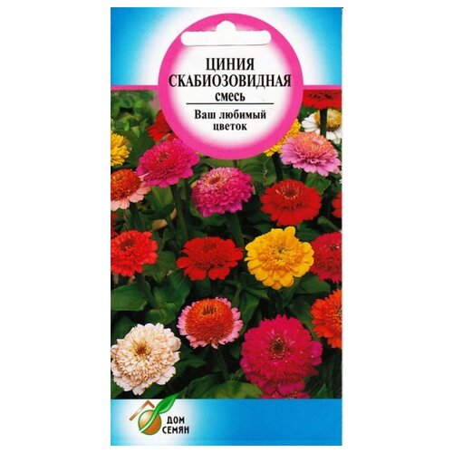 ���� ������ ��������������, 40 �����, ������ �� 235 ���