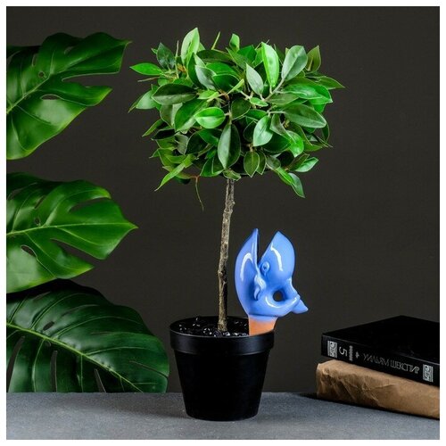 ���� ��������� 