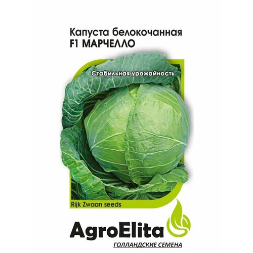 ���� ������ ������� ������������ �������� F1 15�� (���������) ��������� ���� �����, ������ �� 60 ���