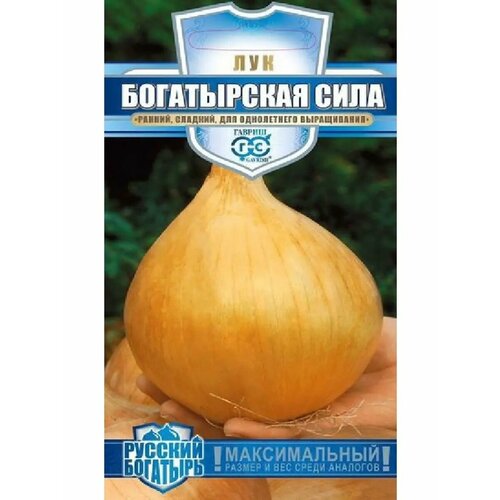 ���� ��� �������� 