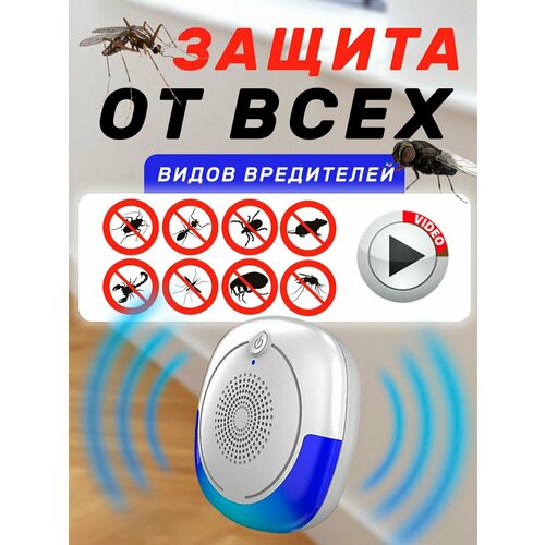 ���� ������������ �����, �������, ����, ��������� ��������� ��������������, ������ �� 420 ���