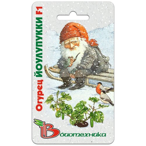 ���� ������ ������ 