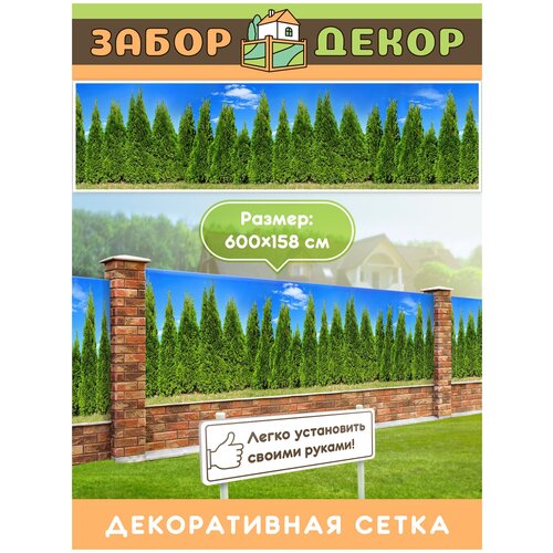     600158 -0065,   3160 