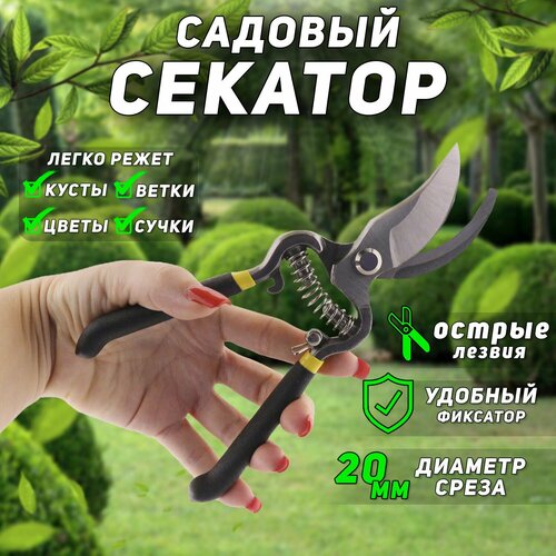 ���� �������-�������� ������� ����������� 8