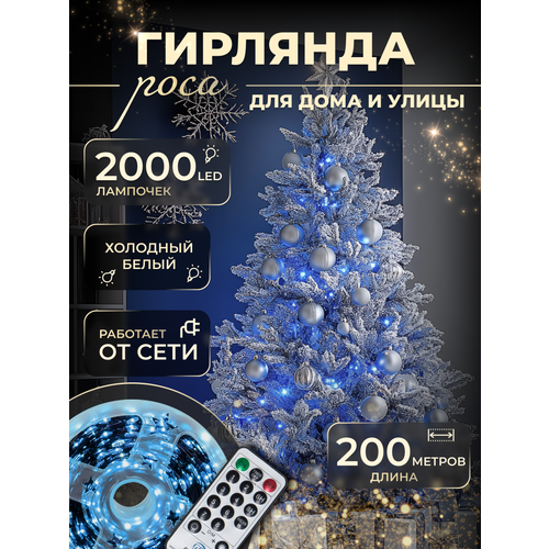 ���� �������� 