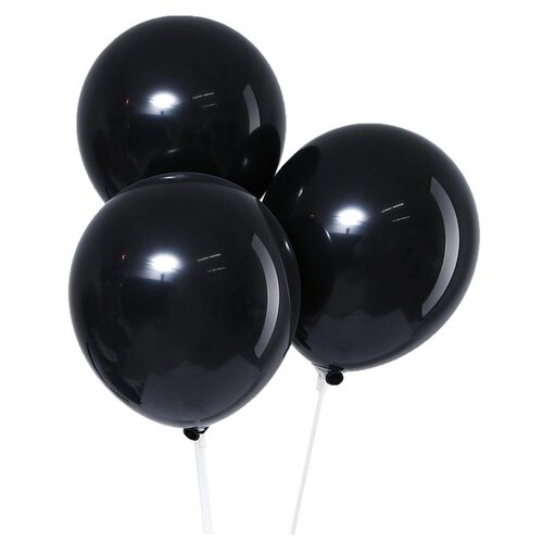 ���� ����� ��������� ����� Leti �������, 12