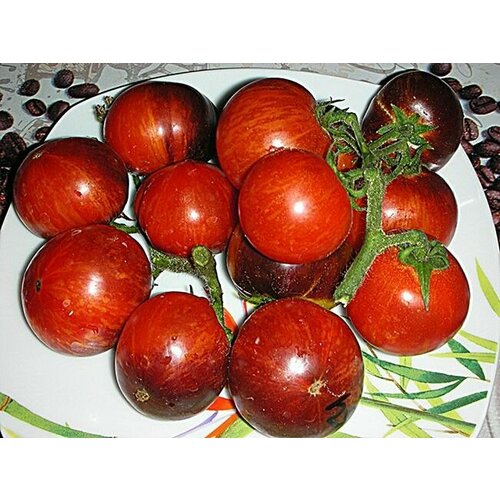 ���� ������������� ������ ������ ���� ��������� ����, ������ �� 127 ���