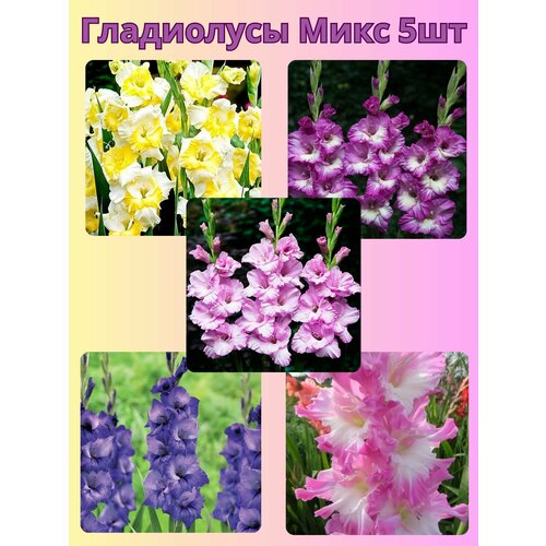 ���� ��������� ���������������, �������� ���������� ���� 1, ������ �� 510 ���