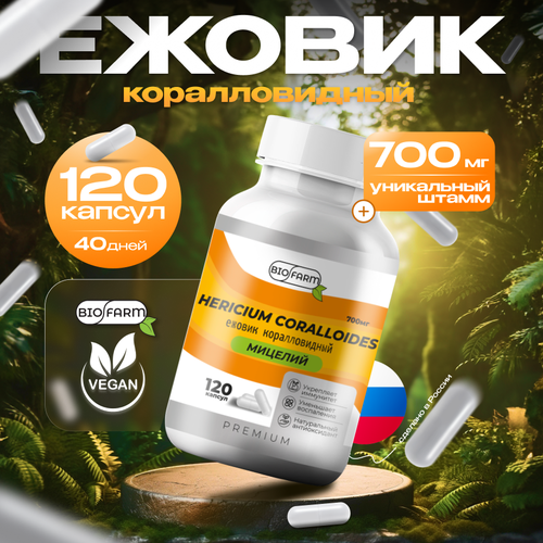 ���� ������ ������������� 700��, ������� ������ �������, hercium coralloides, ������ �� 881 ���