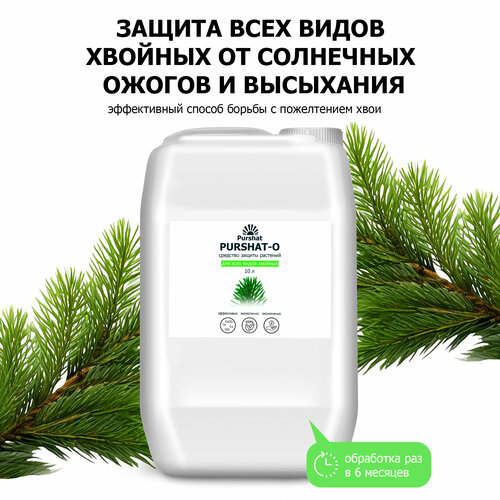 ���� ������ �� ��������� ������ ��� ������� ������-� 10 �, ������ �� 15350 ���