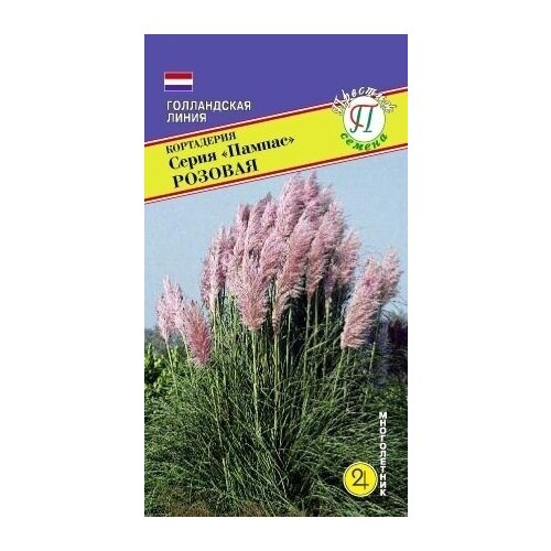 ���� ��������� ����� �������. ����������. ������. �����������. ������ �������� 2,5-3 �. �������� ���������� �� ������ � ������ ��� ���������� ����, ������ �� 499 ���