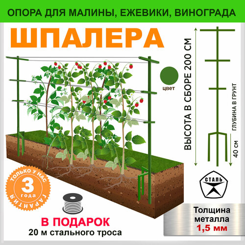 ���� ������� �������, ������ �� 4600 ���