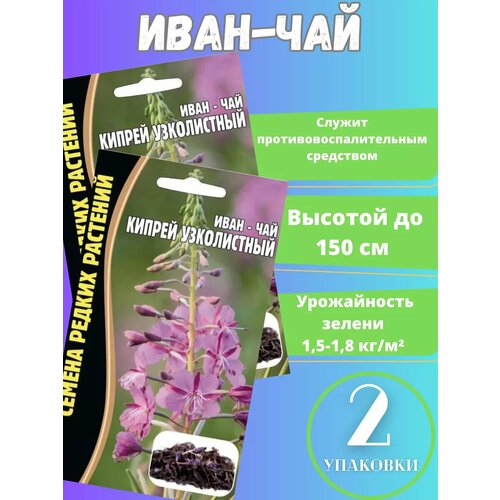 ���� ������ ����-��� ������ ����������� 2 ��, ������ �� 270 ���