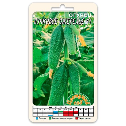 ���� ������ �������� �������� F1 (������ �������� ��� 0,3 �), ������ �� 79 ���