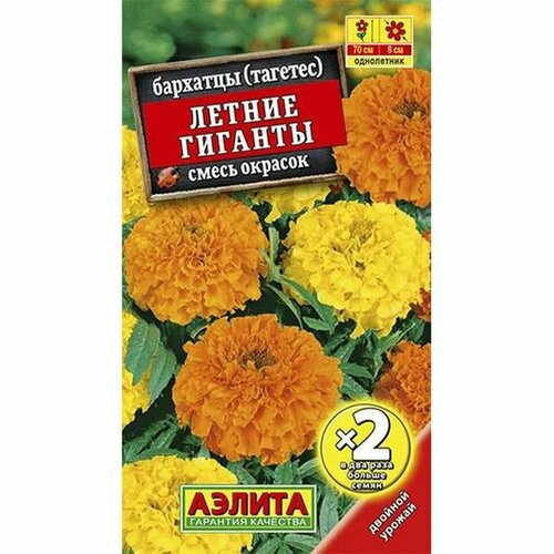 ���� ������ �������� ������ �������, ����� ����������, �2 (������) 1�, ������ �� 44 ���