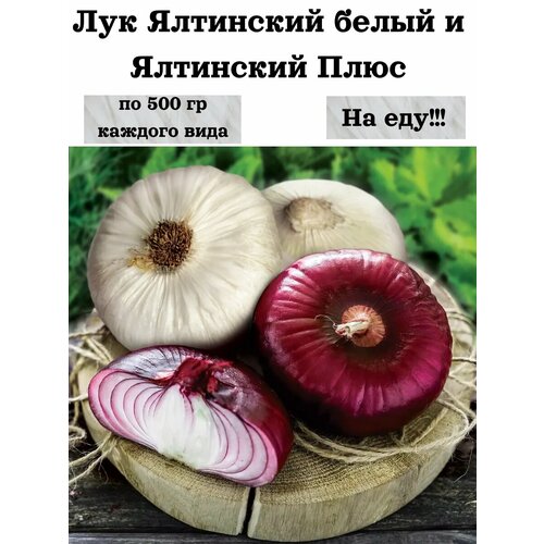 ���� ��� ��������� ����� � ��������� ����, �������� ������NIK, �� 500 �� �� ���, ������ �� 500 ���