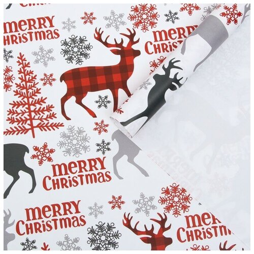 ���� ������ ����������� ��������� 