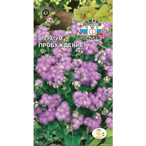 ���� ������� �������� 