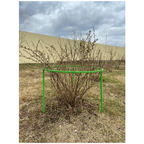 ���� �������������� ��� ��������� � ���������� (�������), ������ �� 2956 ���