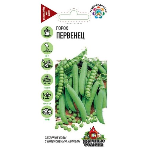 ���� ������ ����� �������� ��������, ������ �� 240 ���