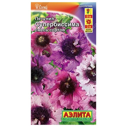 ���� ������. ������� 