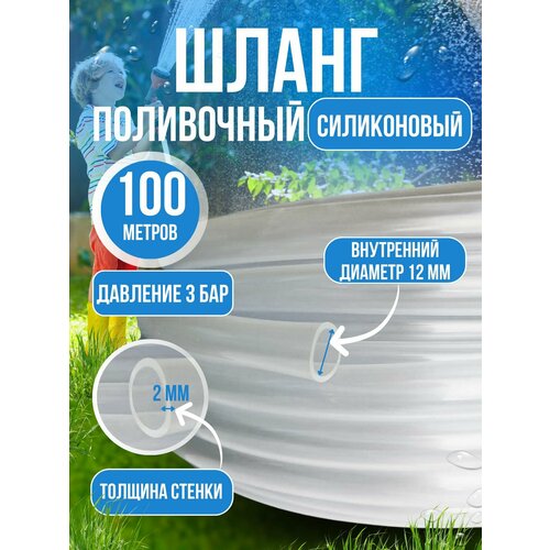 ���� ����� ������� ���������� ����������� 12 �� 100 ������, ������ �� 6650 ���