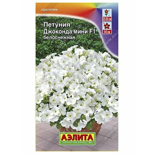 ���� ������� 